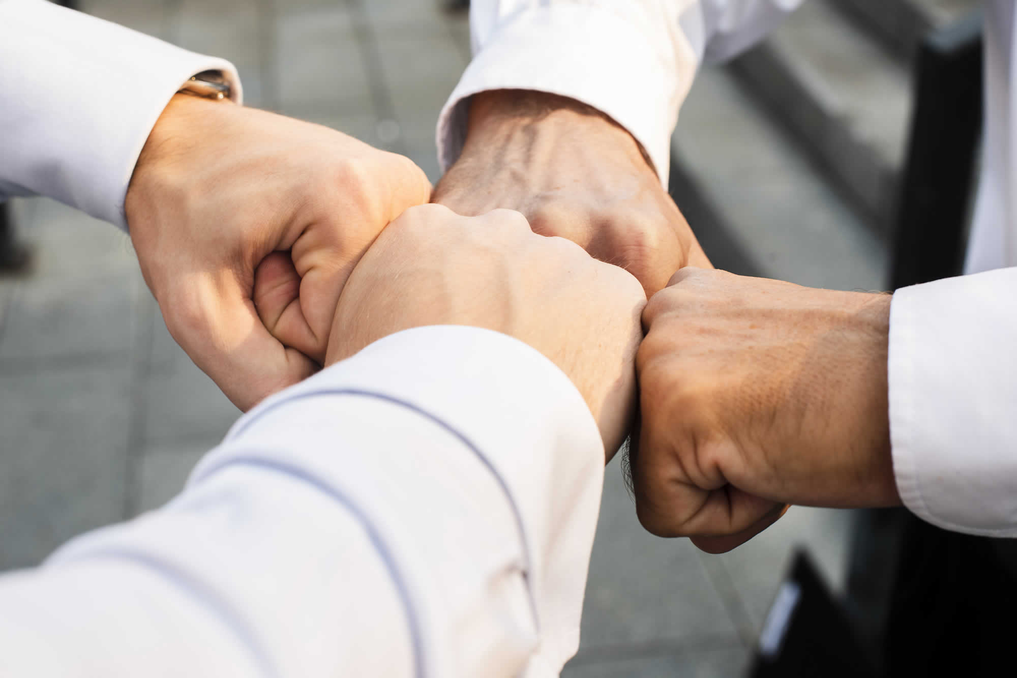 GRUPO KUNTURY | NUESTRO EQUIPO DE TRABAJO